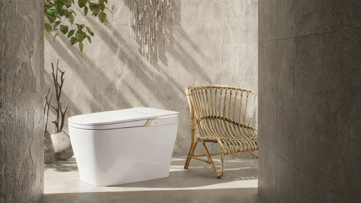 A Guide to Smart Bidet Toilet Pricing and Value Assessment