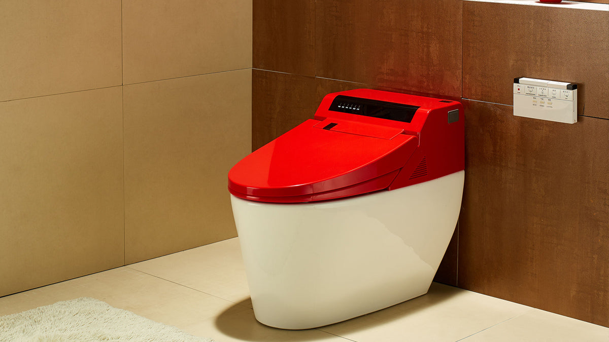 Can a Smart Bidet with Enema Function Truly Help Those with Chronic Constipation?