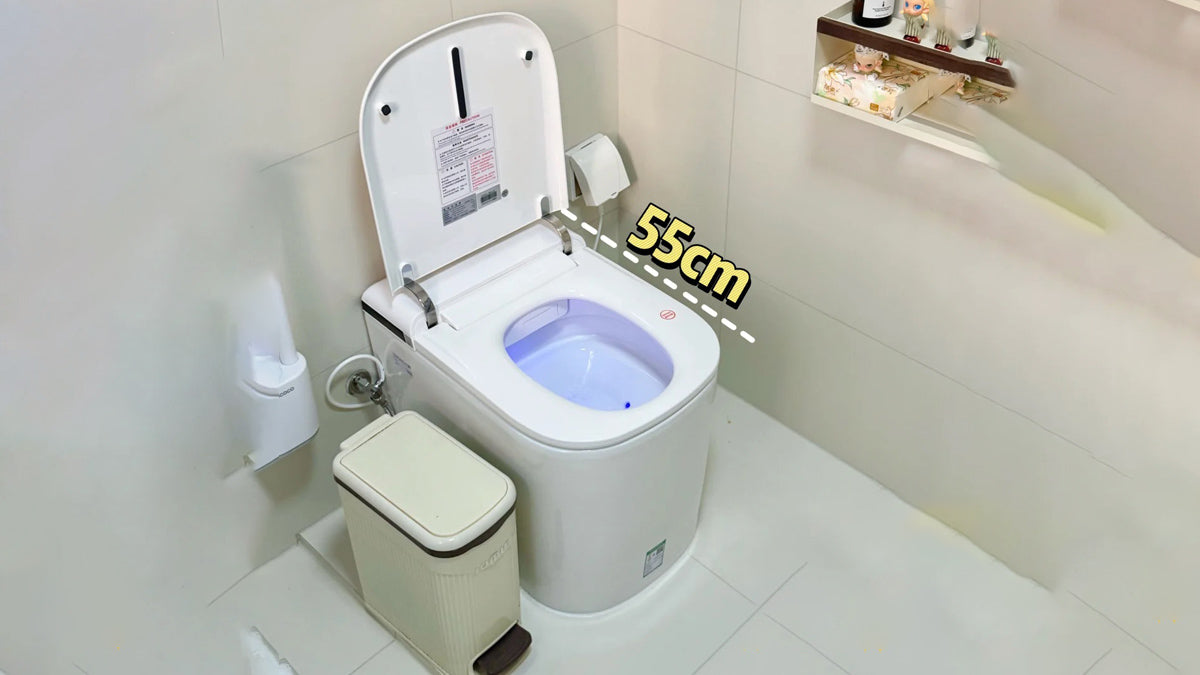 Smart Toilet Installation
