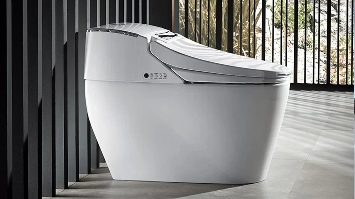 Assisted Enenma Function in Smart Bidet Toilets