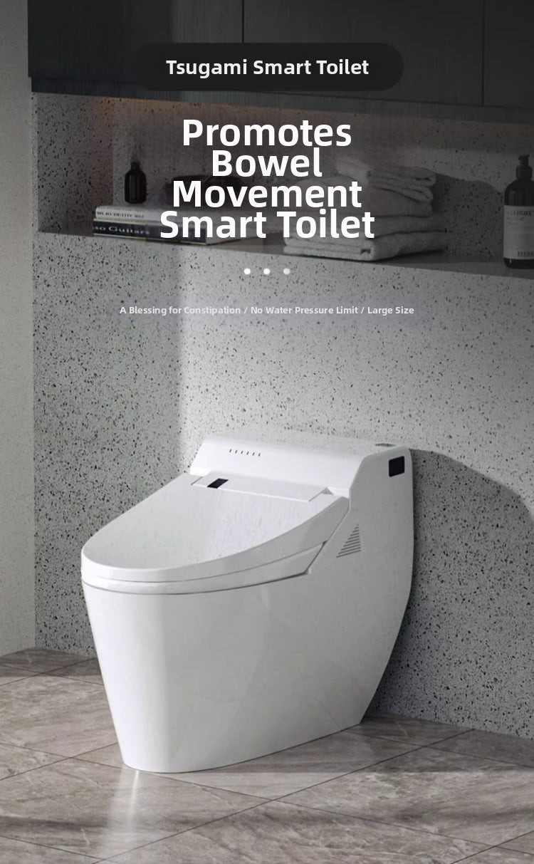hk75 bidet toilet with specialized enema wash function for gentle constipation relief. features an elegant, wide-seated design with 770x420x590mm dimensions for maximum comfort and bathroom wellness